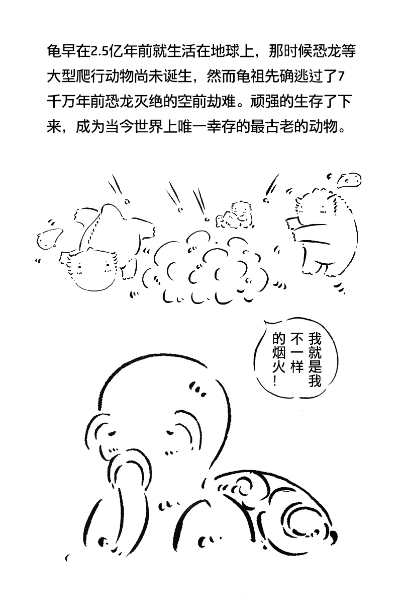 龟_04